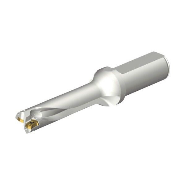 コロドリルDS20刃先交換式ドリル(465) DS20-D1900L25-04 1点