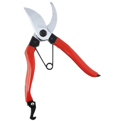 赤グリップ 剪定 1