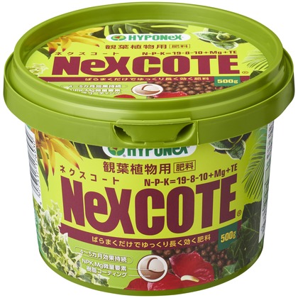 ネクスコート 観葉植物用 500g 1個