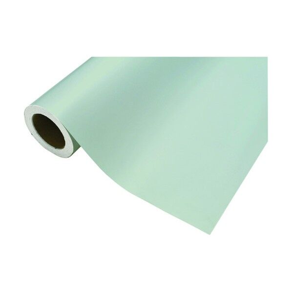 カッティングシート485オールドスカイ450mm×12M CS045485R 1点