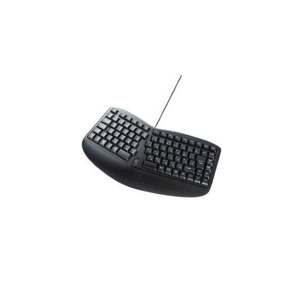 サンワサプライ エルゴノミクスキーボード SKB-ERG3BK 1点