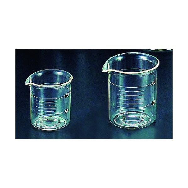 TPXビーカー 1L 319-21-01-05 1点