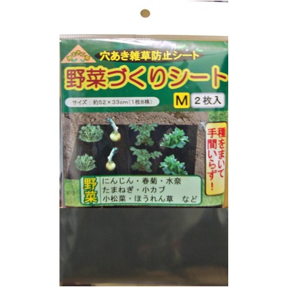 1枚