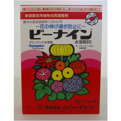 ビーナイン 1個