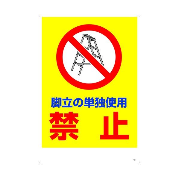 6300004115 1点