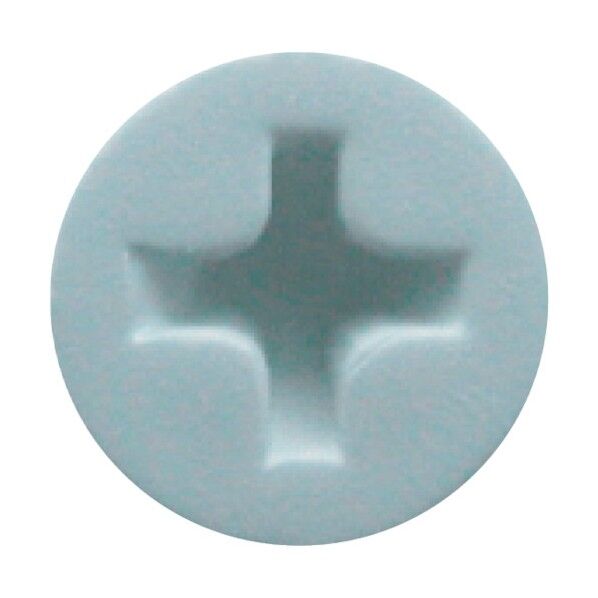 軽天一発ビス ラッパ カラー