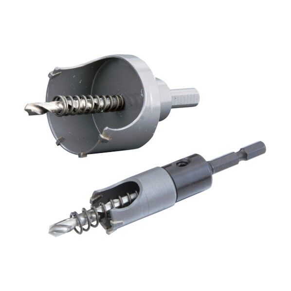 カス抜けホルソー