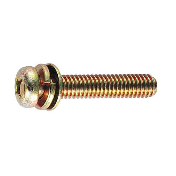 クロメートナベ頭ネジSW・小W付M6×30 B51-0630 1点