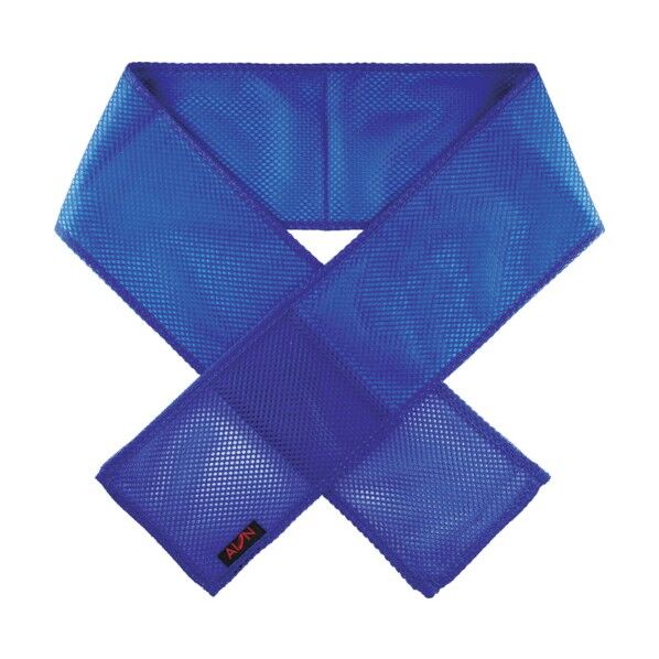 サモコンクールBIGタイプブルー 255 x 140 x 15 mm PTK-002 1