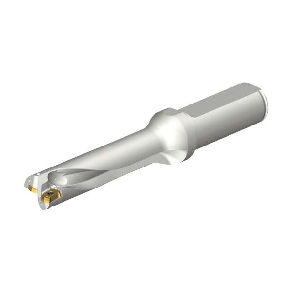 コロドリルDS20刃先交換式ドリル(465) DS20-D1700L20-04 1点