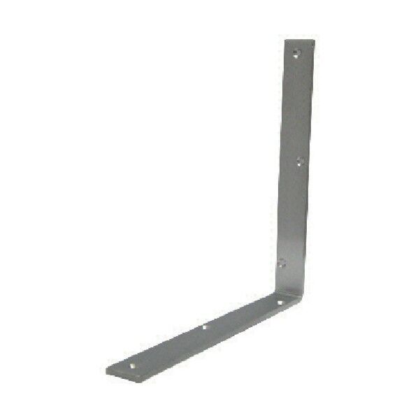 エレクト金折250mm両面皿HL S-254-251 1