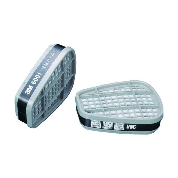 有機ガス用吸収缶 6001 2個