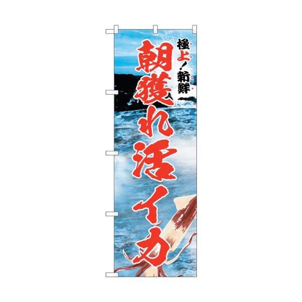 のぼり旗 朝獲れ活イカ 極上 No.SNB-5322 W600×H1800 6300019141 1点