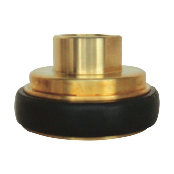 岩崎製作所 黄銅製 町野式 異径 媒介金具 F106 町野メス×ガスネジメス(PTネジ) 43F2520B 1個...