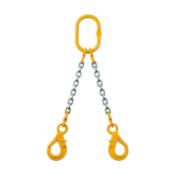 象印 チェーンスリング100(アイタイプ) 2-MFF-SHE-13 1台