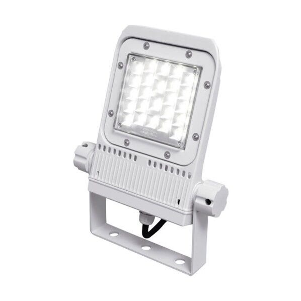 角型投光器 昼白色 30W 中角 FLS-30W-M-K5-R7-W 1点