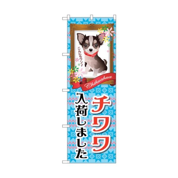 city のぼり旗 チワワ入荷しました No.GNB-2450 W600×H1800 6300013098 1点