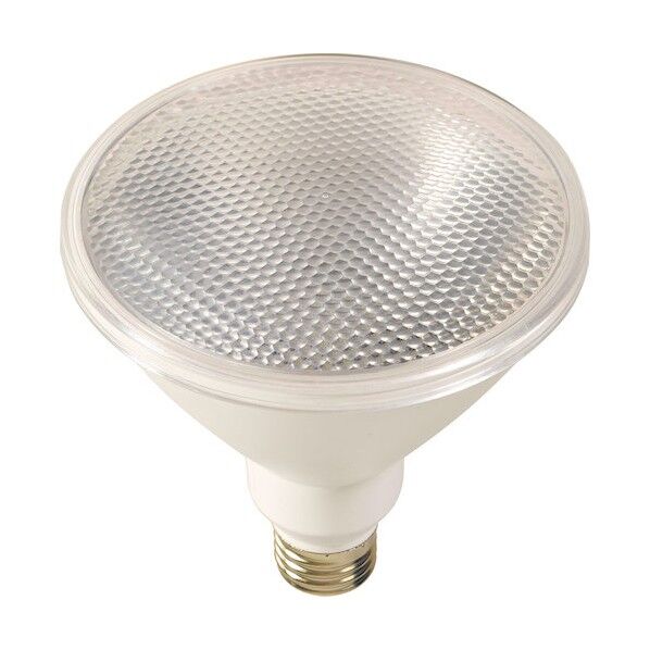 エコビック20W L20W-BW-50K 1個