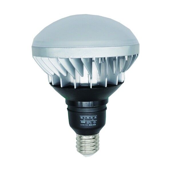 ACE LED交換球 銀河2 LED-W50-2 1点