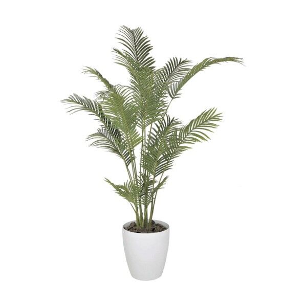 フレッシュパーム1.8m 6300029279 1点