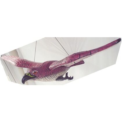 大型鳥追い鷹 PH-110 1