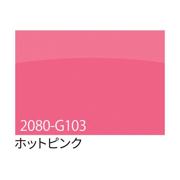 6300021863 1点