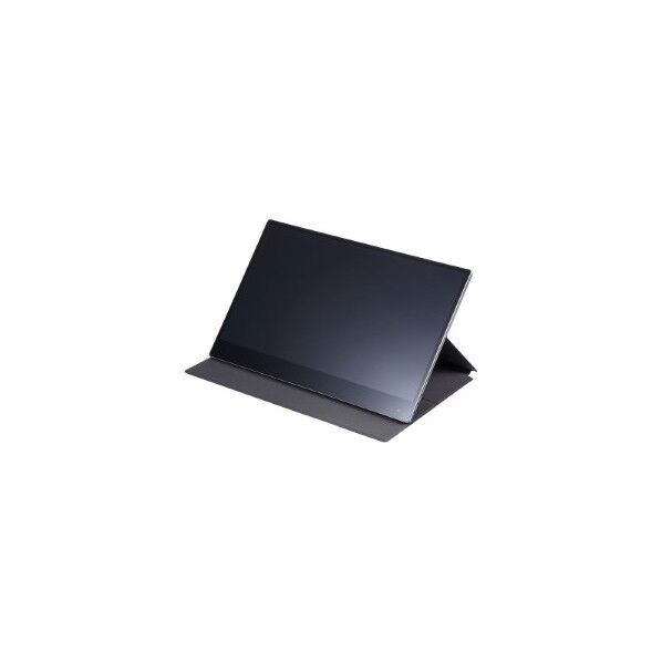 モバイルディスプレイ DP-02