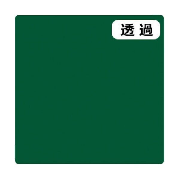 6300021339 1点