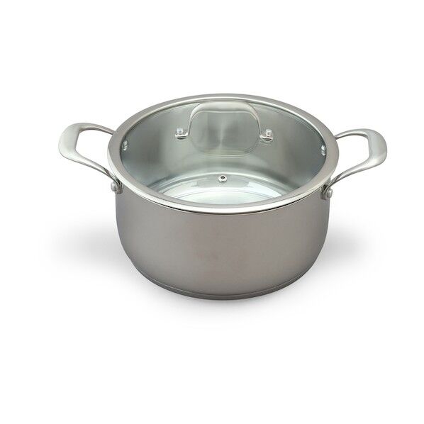 522699 ステンレスシリーズ 両手なべ24cm ガラスふた付 SP-P24 (522699) 1点