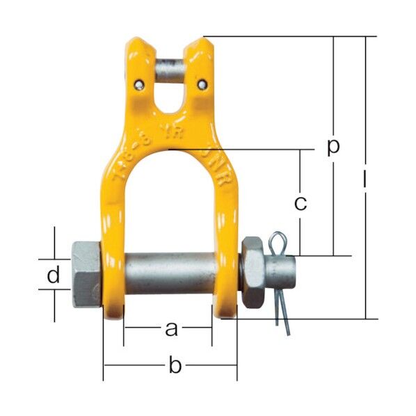クビレスシャックル (アイタイプ)