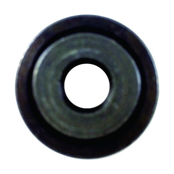 クリーン太クンリョービワッシャ