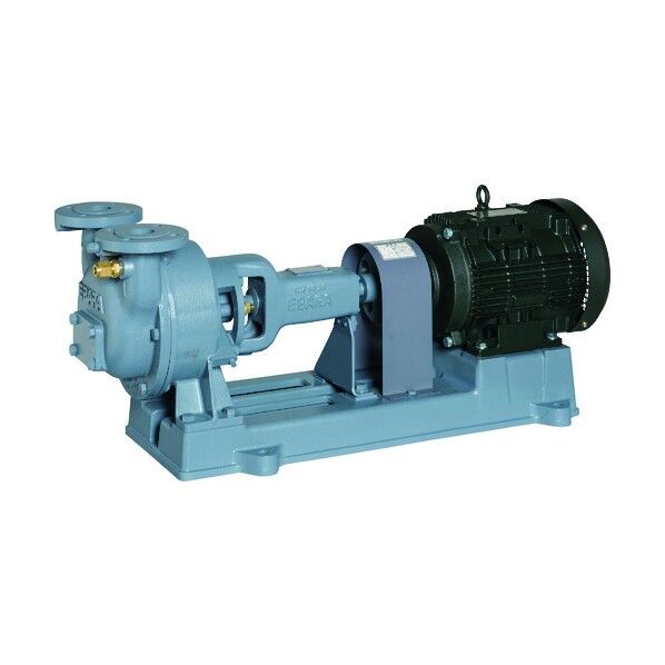 NV型 水封式 真空ポンプ 50Hz 口径40mm 40NV53.7B 1点