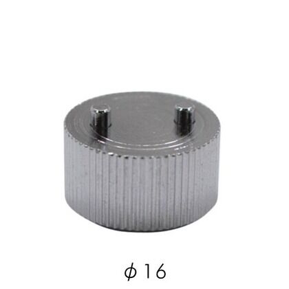 SCP-AA481