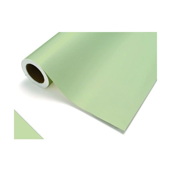 カッティングシート386オールドグラス1010mm×20m CS1010386F 1点