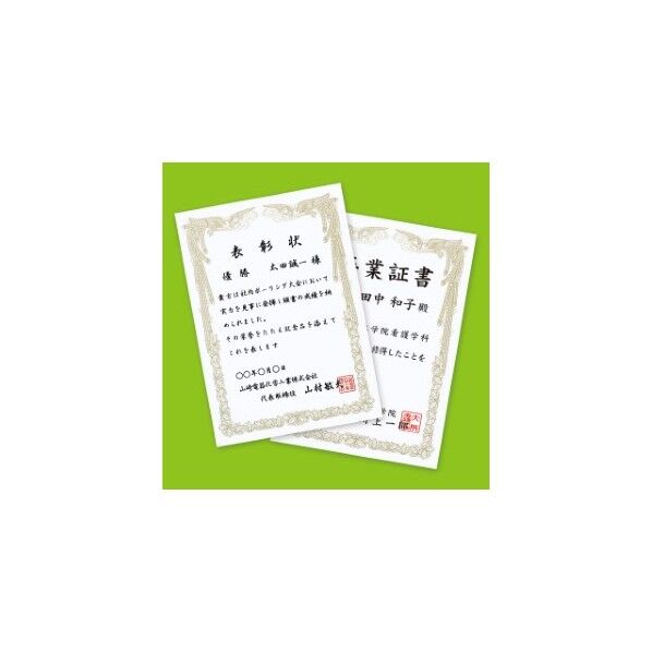 サンワサプライ インクジェット用賞状(A4・縦) JP-SHA4TN2 10枚