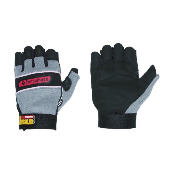 ヒューソリッド H-2