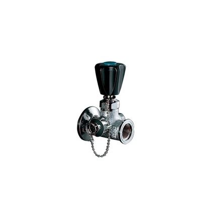 K20W