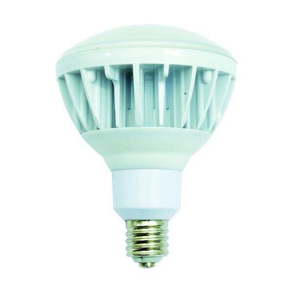 日動　ＬＥＤ交換球　ハイスペックエコビック４０Ｗ　Ｅ３９　昼白色　本体白