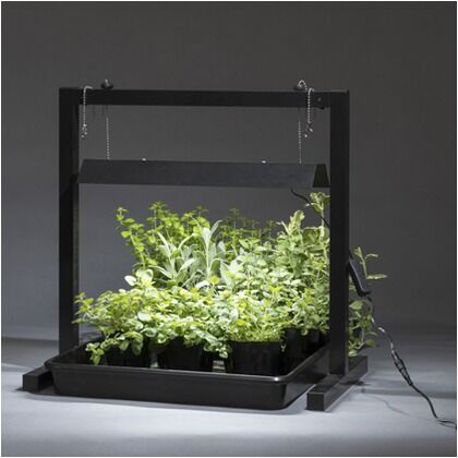 グリーントラッグ 卓上 ブラック ブラック 約幅47cm×奥行き32cm×高さ45.5cm LGT-01BK 1