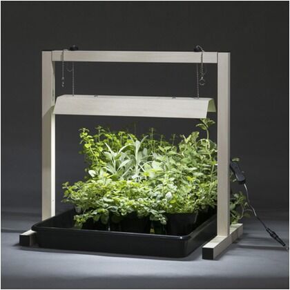 グリーントラッグ 卓上 オフホワイト オフホワイト 約幅47cm×奥行き32cm×高さ45.5cm LGT-01W 1