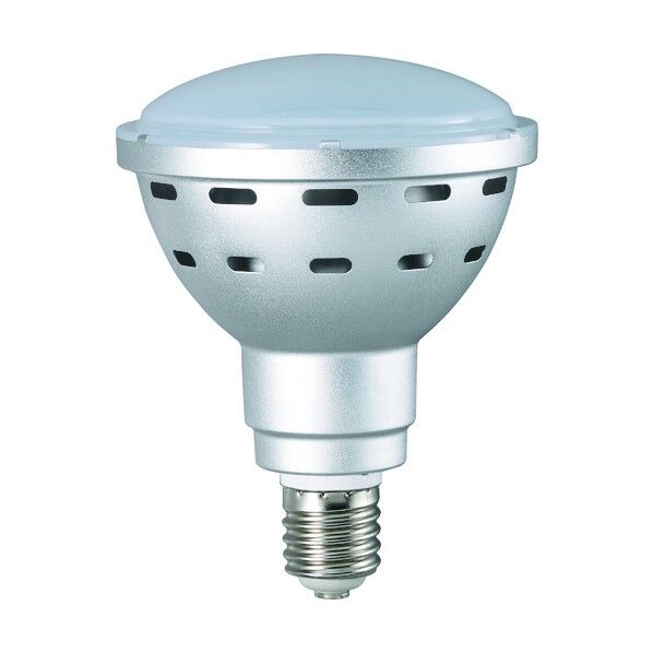 45WLED電球 RXL用電球