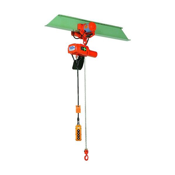 電気チェーンブロック 100kg 揚程5m ASMK1050 1点