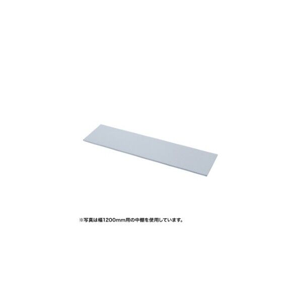 中棚 SH-FDN100 1点