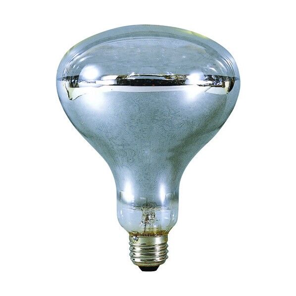 安全投光器用電球