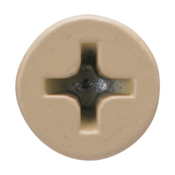 軽天一発ビス ラッパ 特殊色 ベージュ色 3.5X22 713522B 1000本