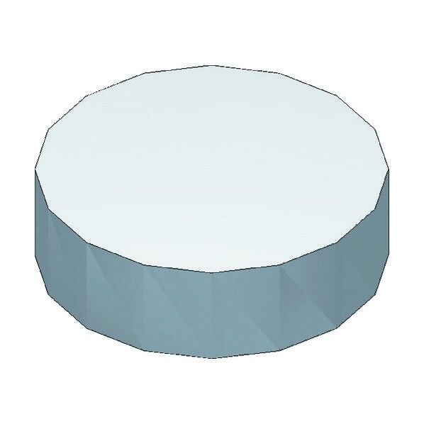 排気フィルター/2コ入