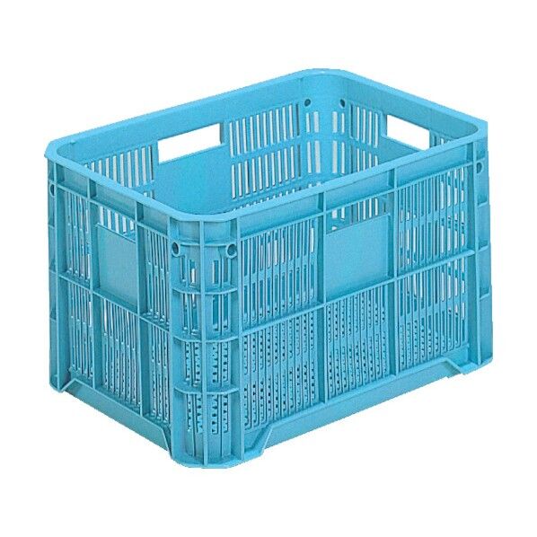 玉コン2型(4把手、4印刷面)