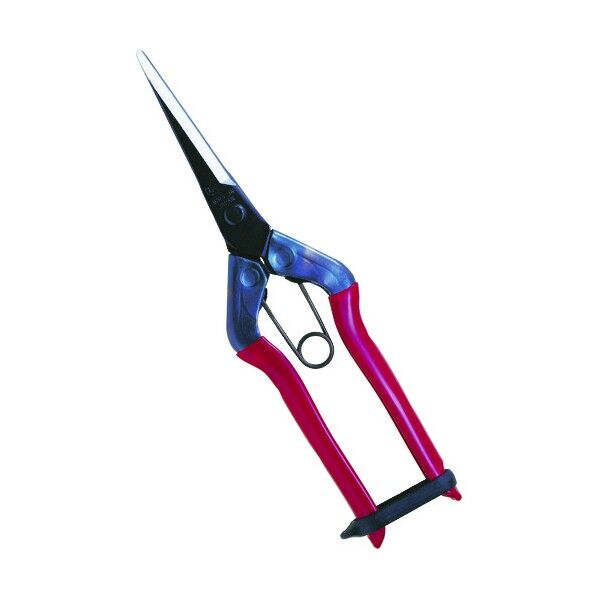 チカマサ芽切鋏ロング