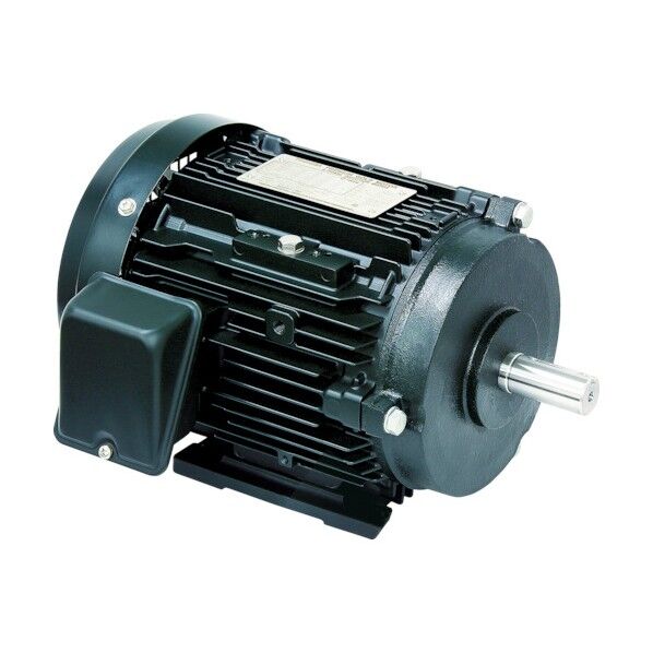 プレミアムゴールドモートル 高効率・全閉外扇形・脚取付・200V級・極数4