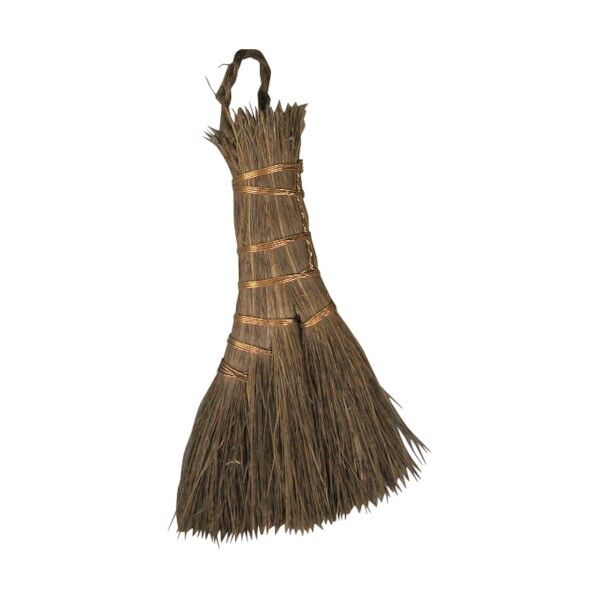 盆栽ホーキ大 1